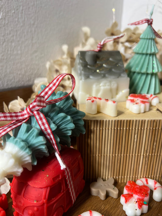 Coming Home for Christmas 🎄❤️